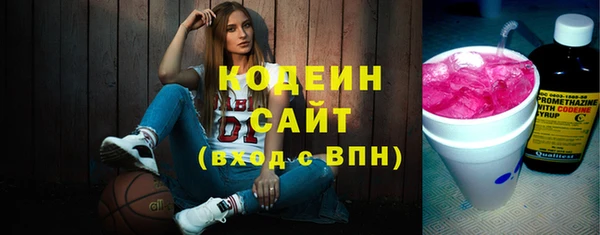 2c-b Бородино