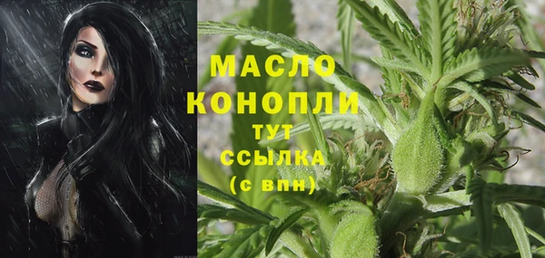 2c-b Бородино