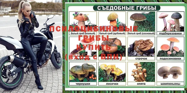 2c-b Бородино
