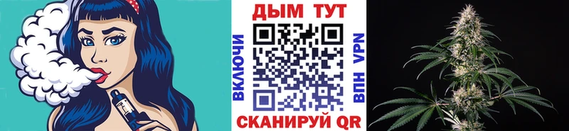 МАРИХУАНА сатива  наркота  Губаха 